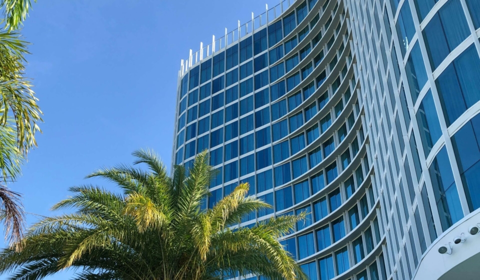 becky-fantham-S_JutLgZMbA-unsplash